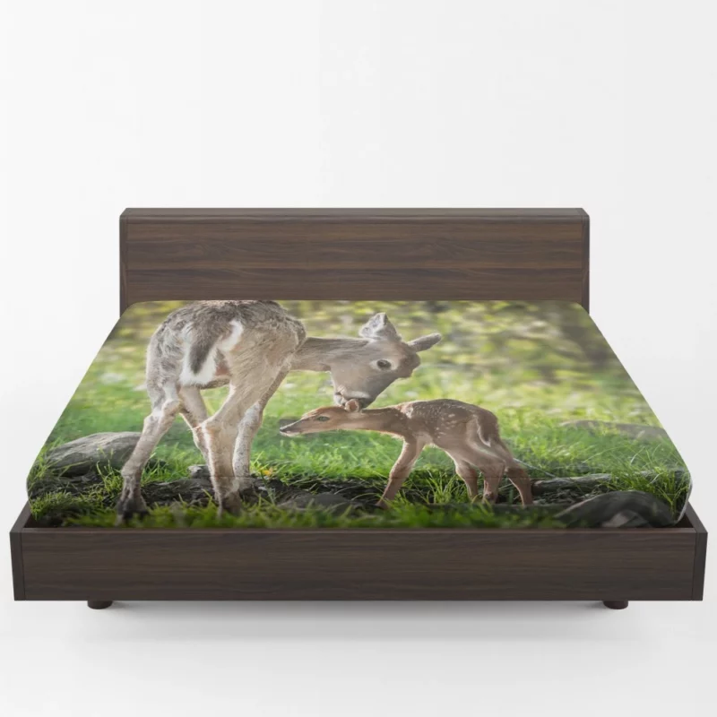 Innocence Baby Deer Fitted Sheet