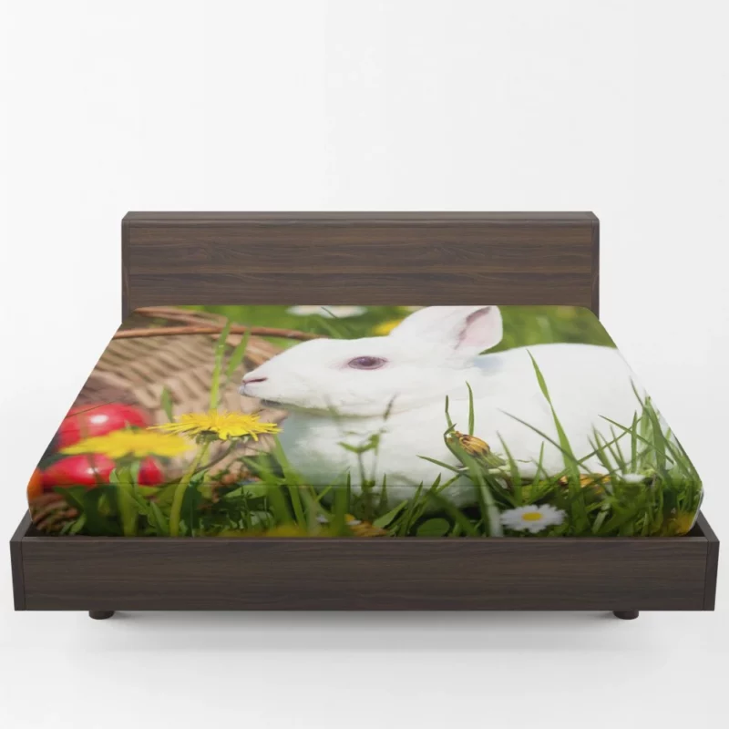 Innocence Play Rabbit Whisker Dance Fitted Sheet