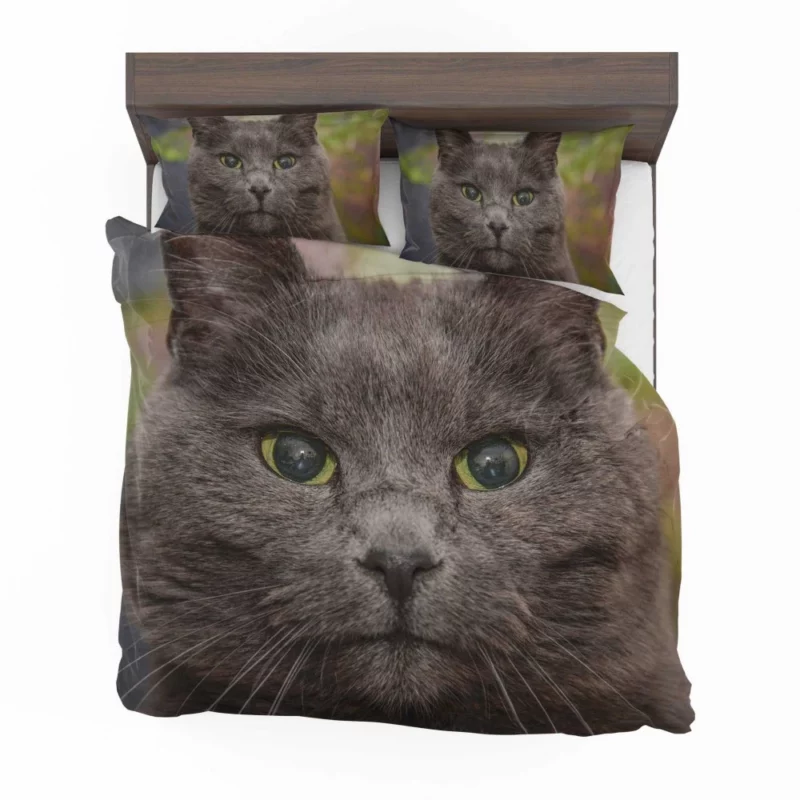 Intense Cat Stare Mesmerizing Mystery Bedding Set 1