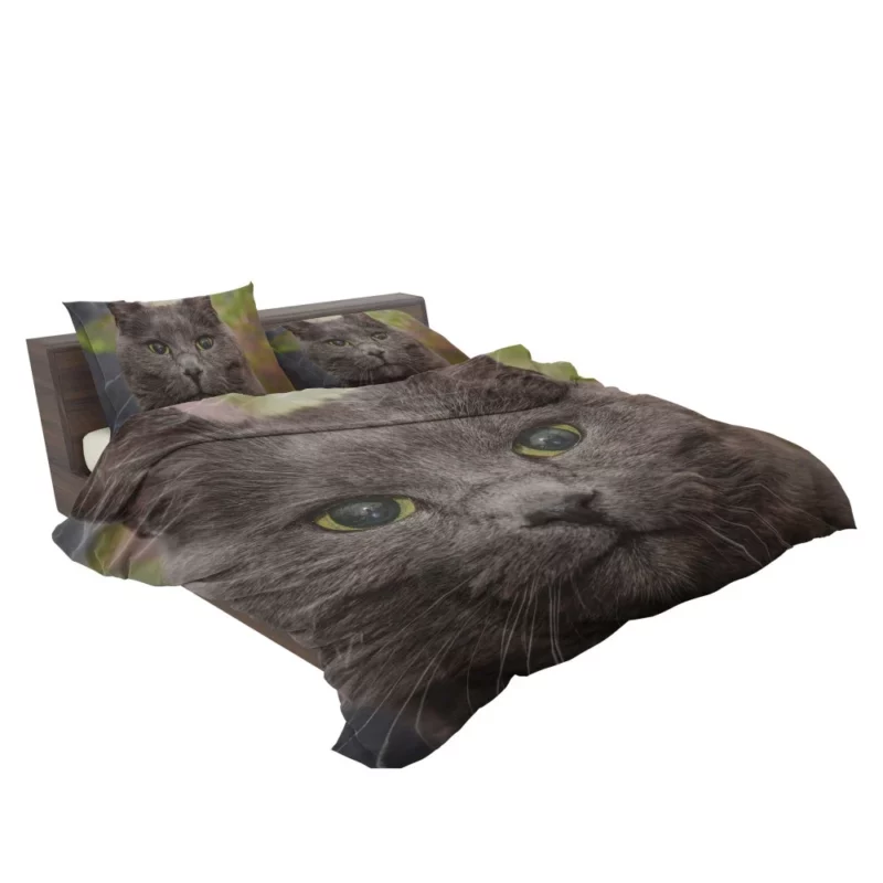 Intense Cat Stare Mesmerizing Mystery Bedding Set 2