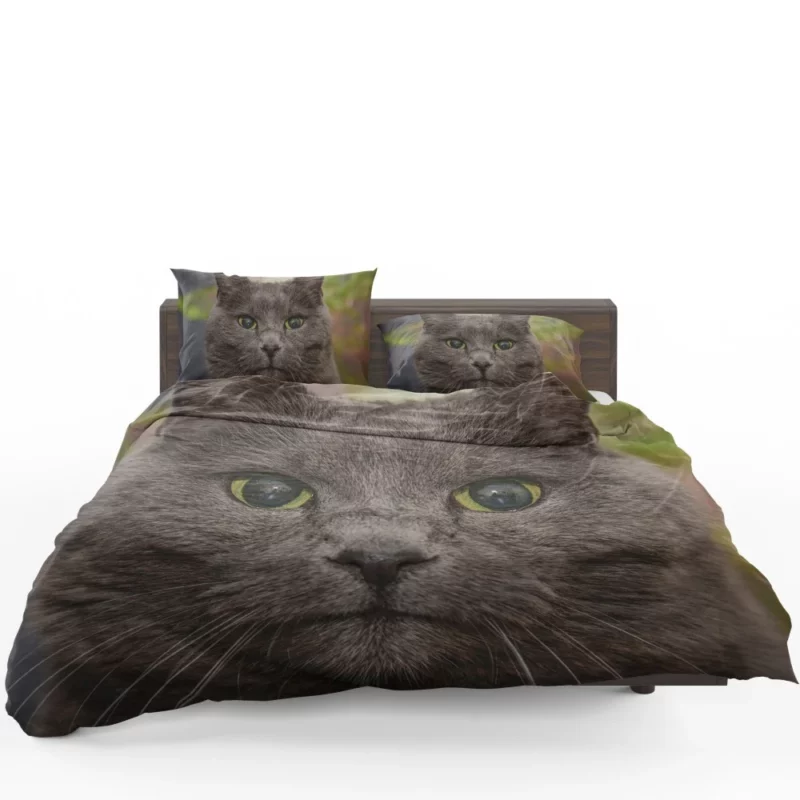 Intense Cat Stare Mesmerizing Mystery Bedding Set