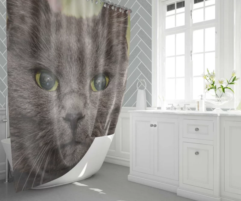 Intense Cat Stare Mesmerizing Mystery Shower Curtain 1