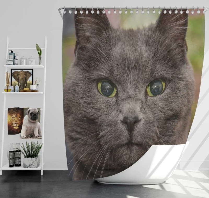 Intense Cat Stare Mesmerizing Mystery Shower Curtain