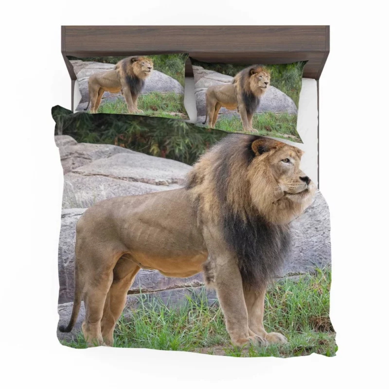 Intense Stare Lion Majesty Bedding Set 1