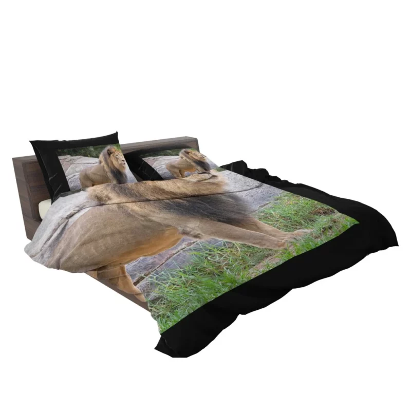 Intense Stare Lion Majesty Bedding Set 2