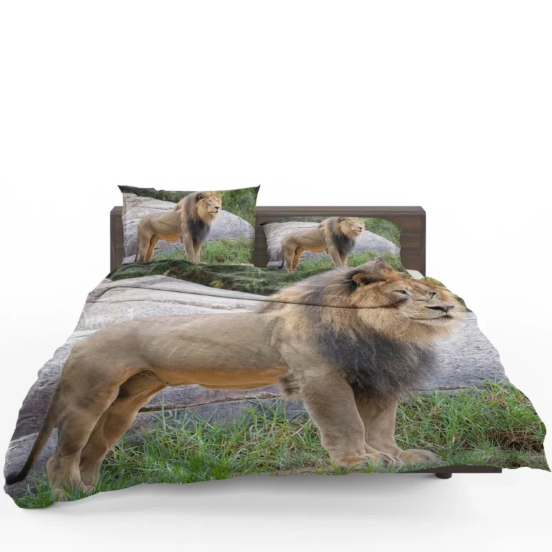 Intense Stare Lion Majesty Bedding Set