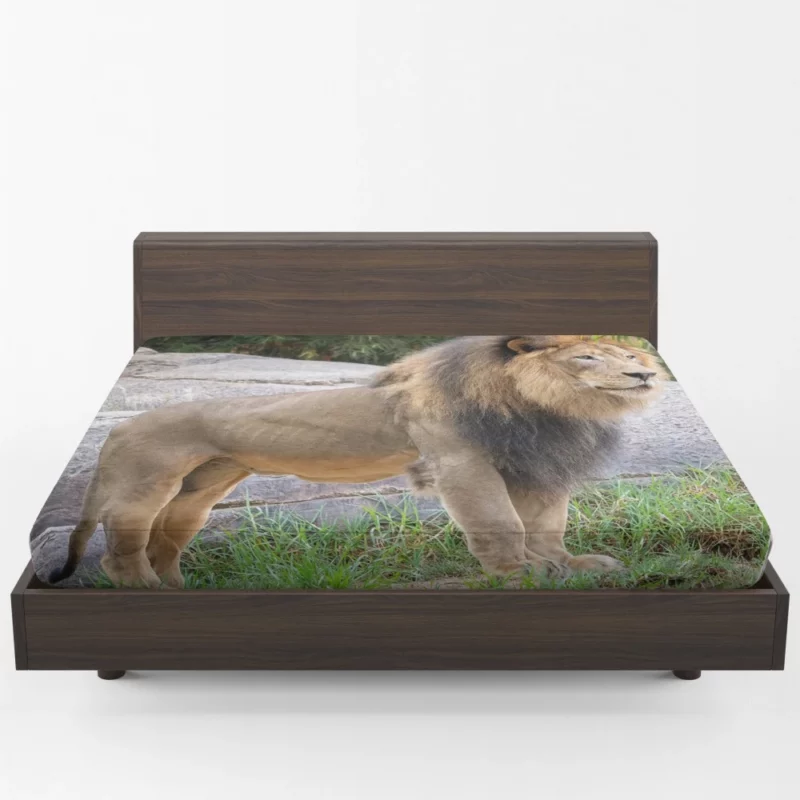 Intense Stare Lion Majesty Fitted Sheet