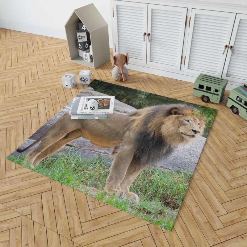 Intense Stare Lion Majesty Rug 1