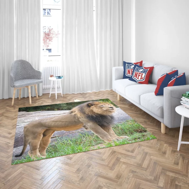 Intense Stare Lion Majesty Rug 2