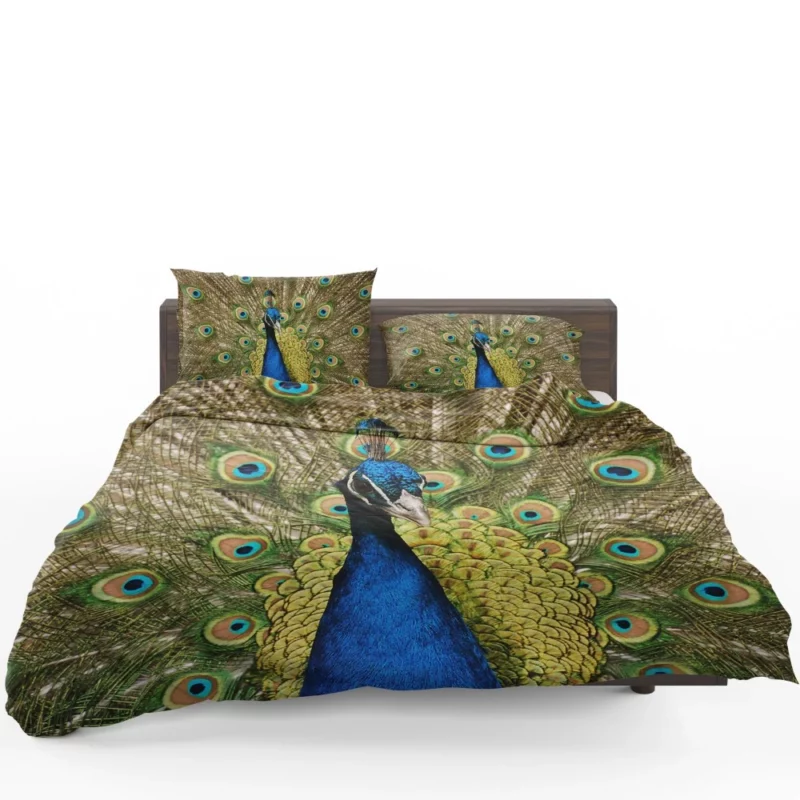 Iridescent Blue Peacock Australia Gem Bedding Set