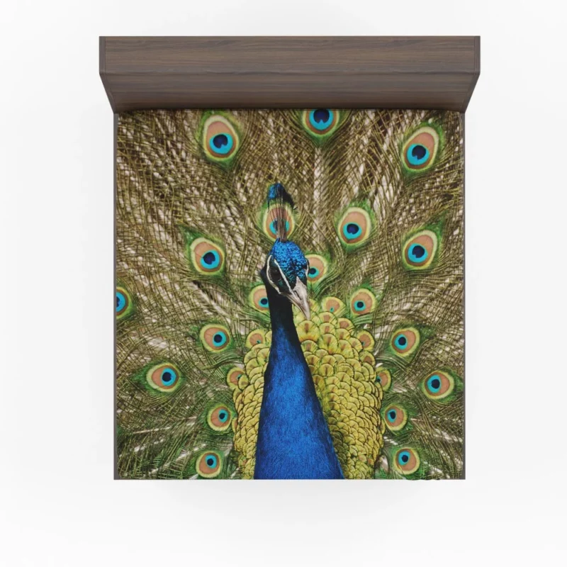 Iridescent Blue Peacock Australia Gem Fitted Sheet 1