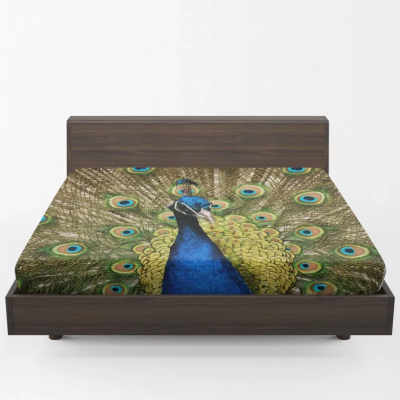 Iridescent Blue Peacock Australia Gem Fitted Sheet