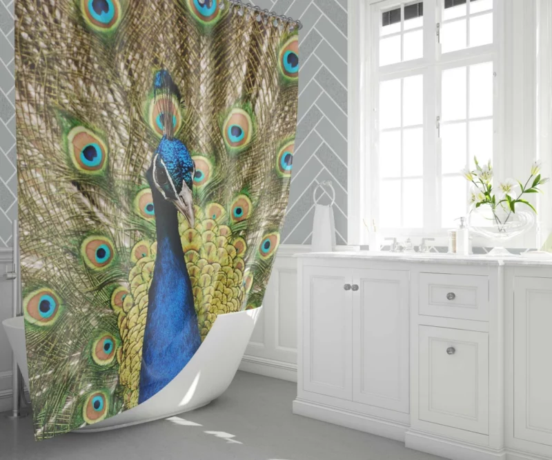 Iridescent Blue Peacock Australia Gem Shower Curtain 1