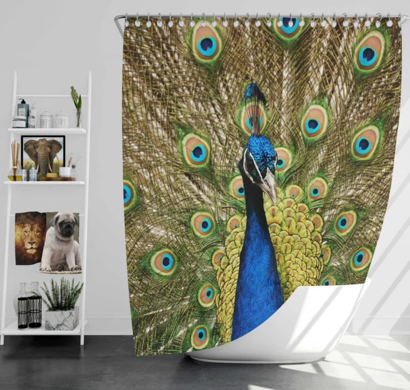 Iridescent Blue Peacock Australia Gem Shower Curtain