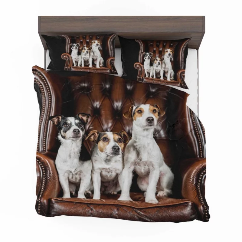 Jack Russell Terrier Chair Encounter Bedding Set 1