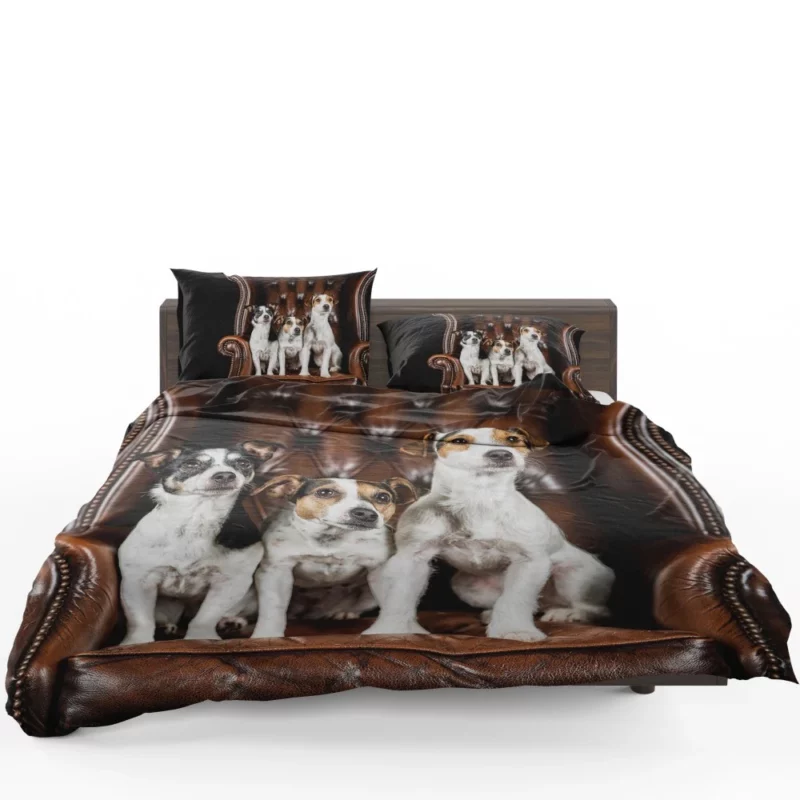 Jack Russell Terrier Chair Encounter Bedding Set