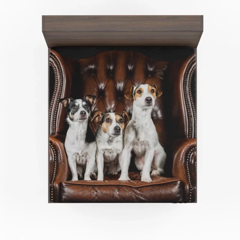 Jack Russell Terrier Chair Encounter Fitted Sheet 1