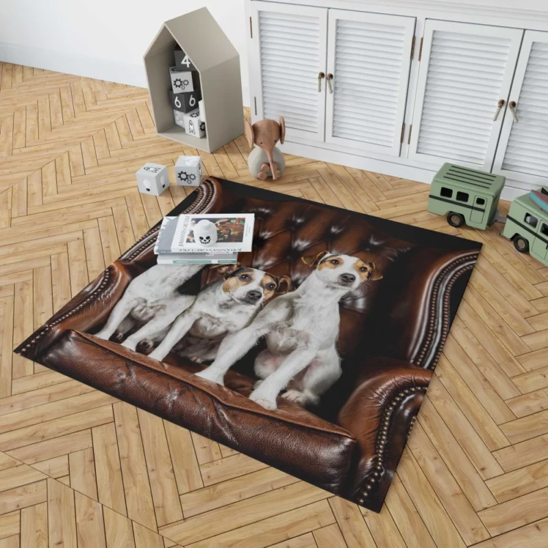 Jack Russell Terrier Chair Encounter Rug 1