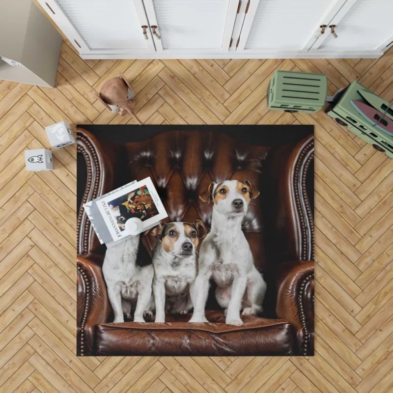 Jack Russell Terrier Chair Encounter Rug