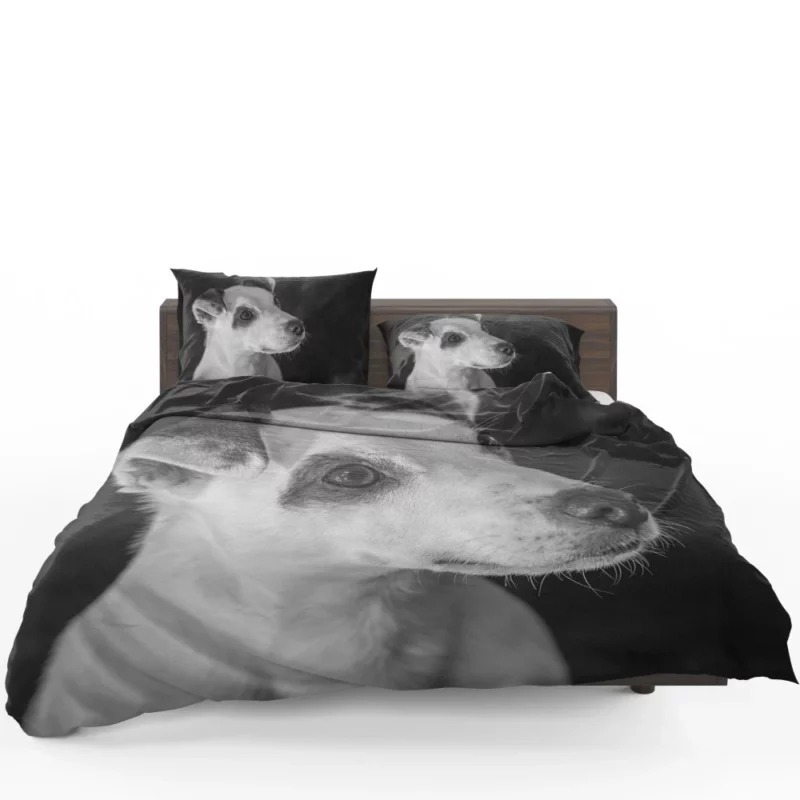 Jack Russell Terrier Energetic Spirit Bedding Set