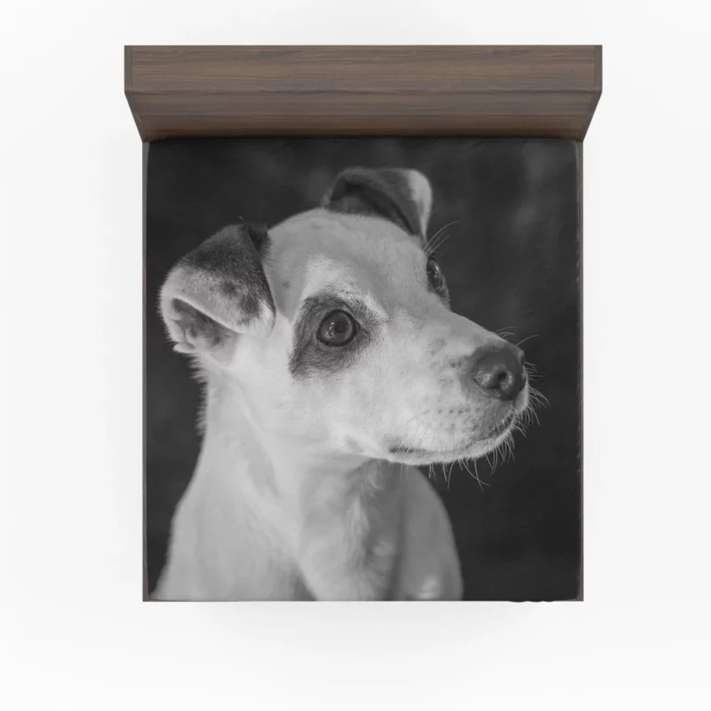 Jack Russell Terrier Energetic Spirit Fitted Sheet 1