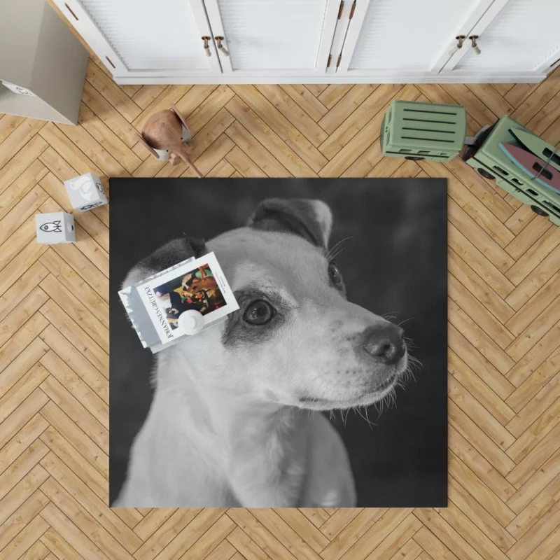 Jack Russell Terrier Energetic Spirit Rug