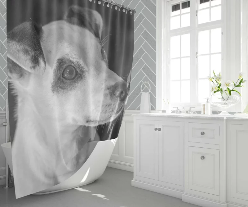 Jack Russell Terrier Energetic Spirit Shower Curtain 1