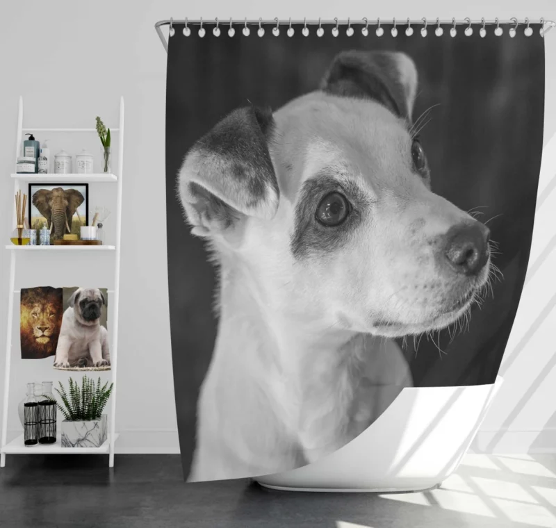 Jack Russell Terrier Energetic Spirit Shower Curtain