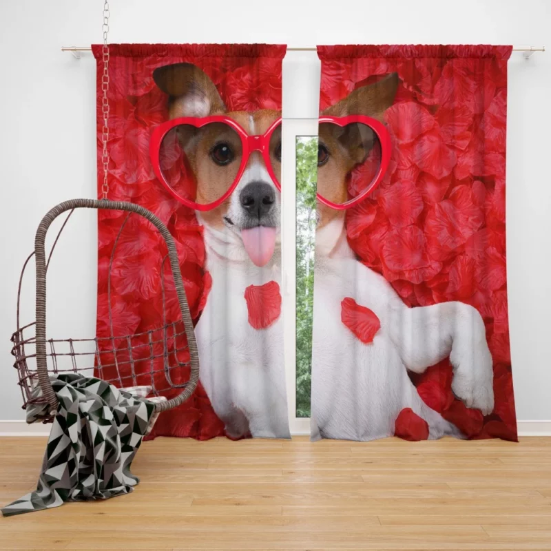 Jack Russell Terrier Heartfelt Love Curtain