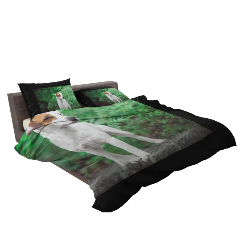 Jack Russell Terrier Playful Essence Bedding Set 2