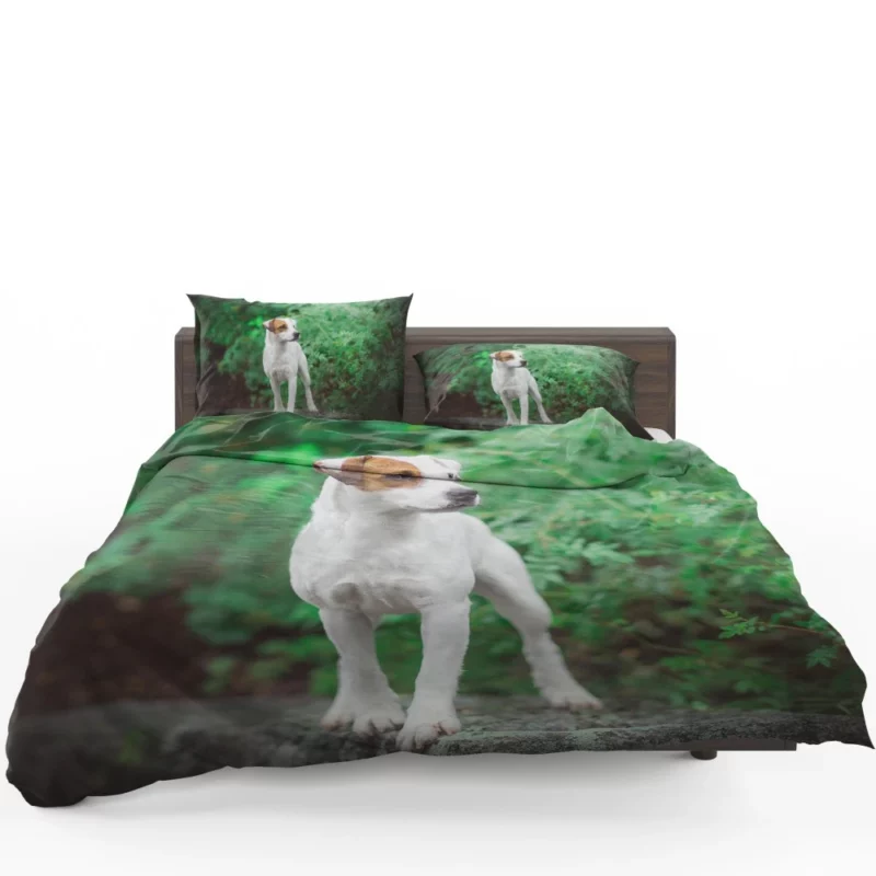 Jack Russell Terrier Playful Essence Bedding Set