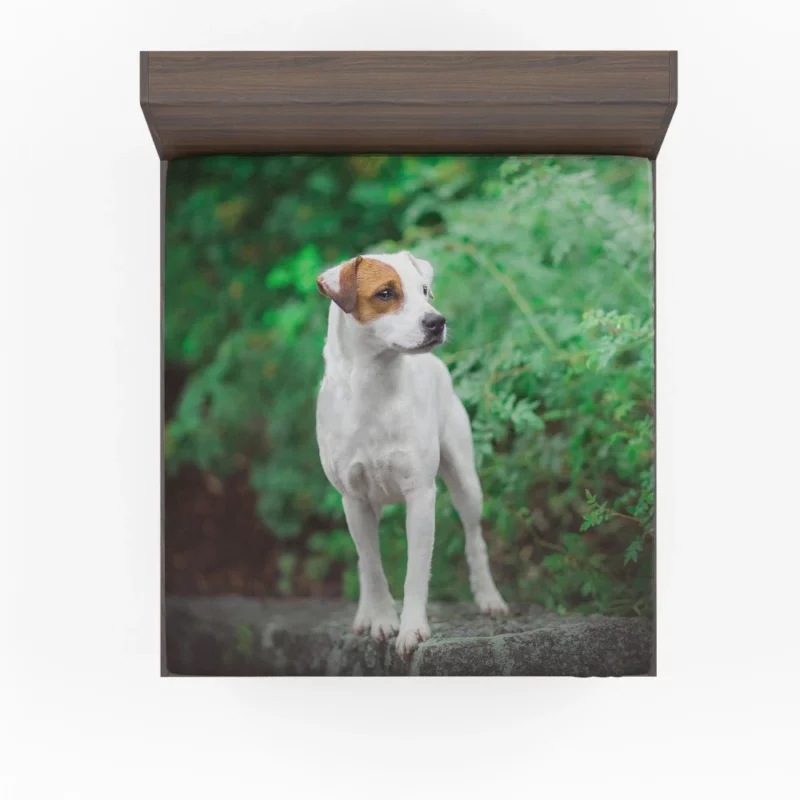 Jack Russell Terrier Playful Essence Fitted Sheet 1