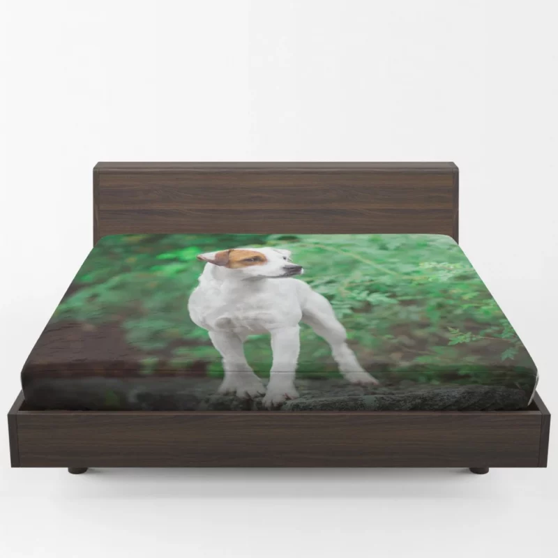 Jack Russell Terrier Playful Essence Fitted Sheet