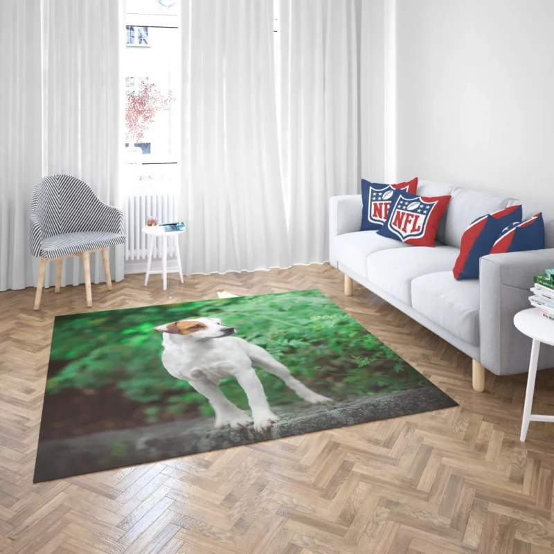 Jack Russell Terrier Playful Essence Rug 2