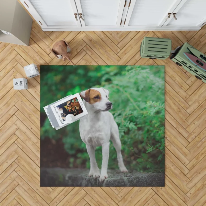 Jack Russell Terrier Playful Essence Rug