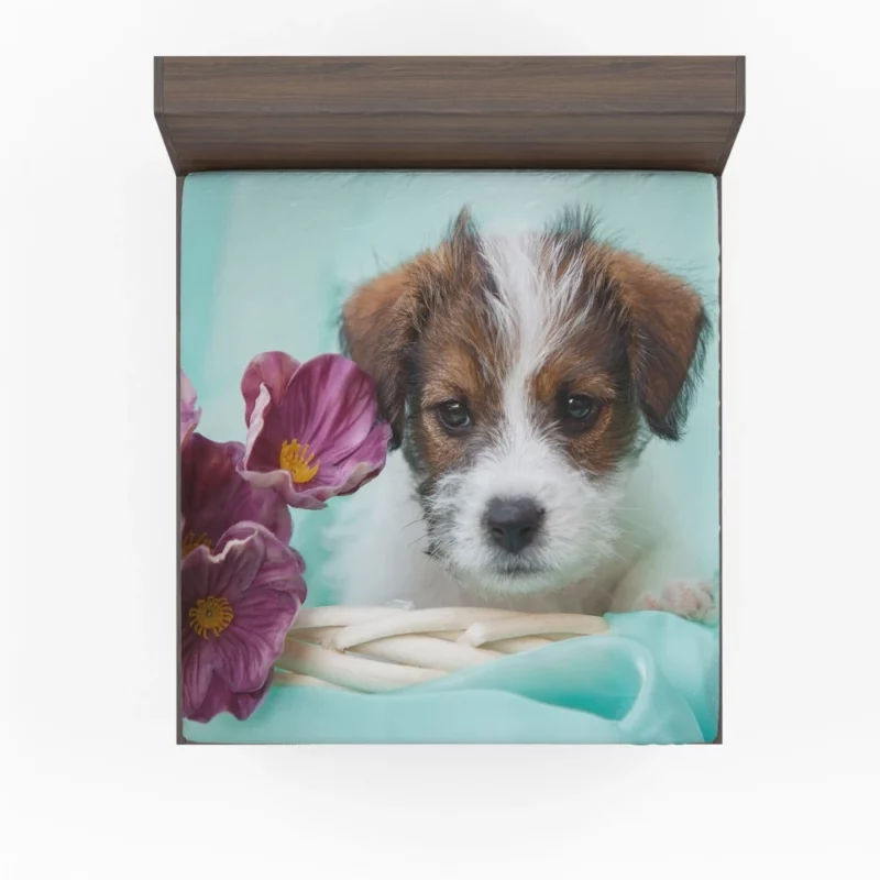 Jack Russell Terrier Puppy Playful Antics Fitted Sheet 1