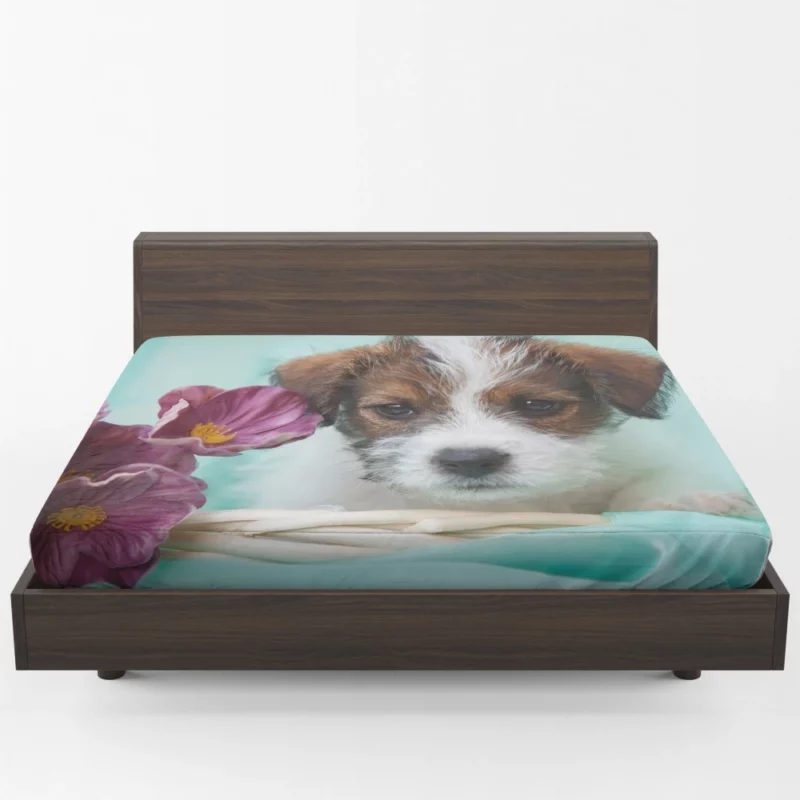 Jack Russell Terrier Puppy Playful Antics Fitted Sheet