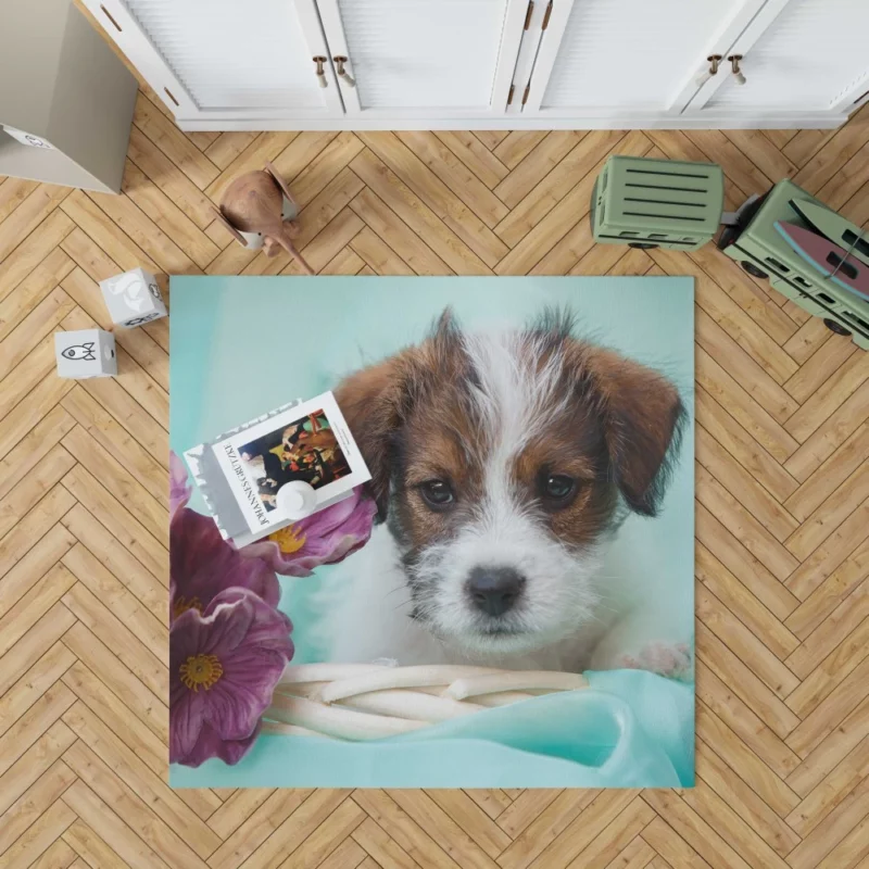 Jack Russell Terrier Puppy Playful Antics Rug