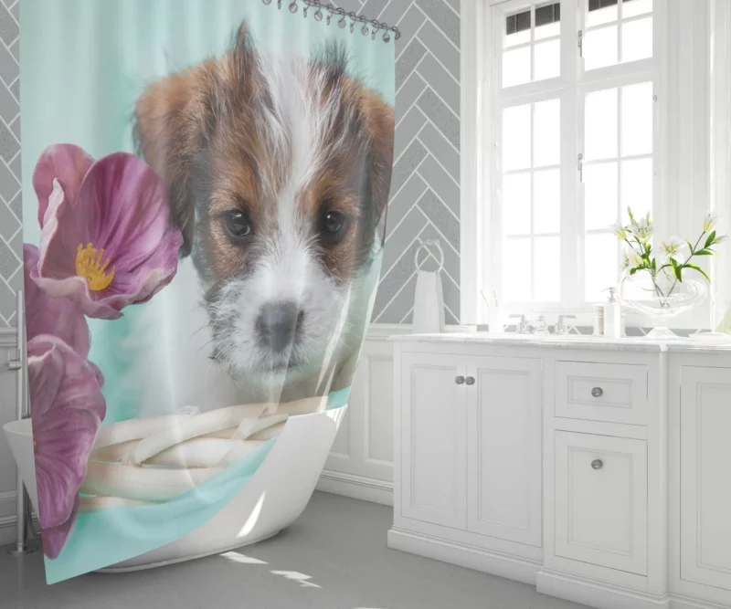 Jack Russell Terrier Puppy Playful Antics Shower Curtain 1