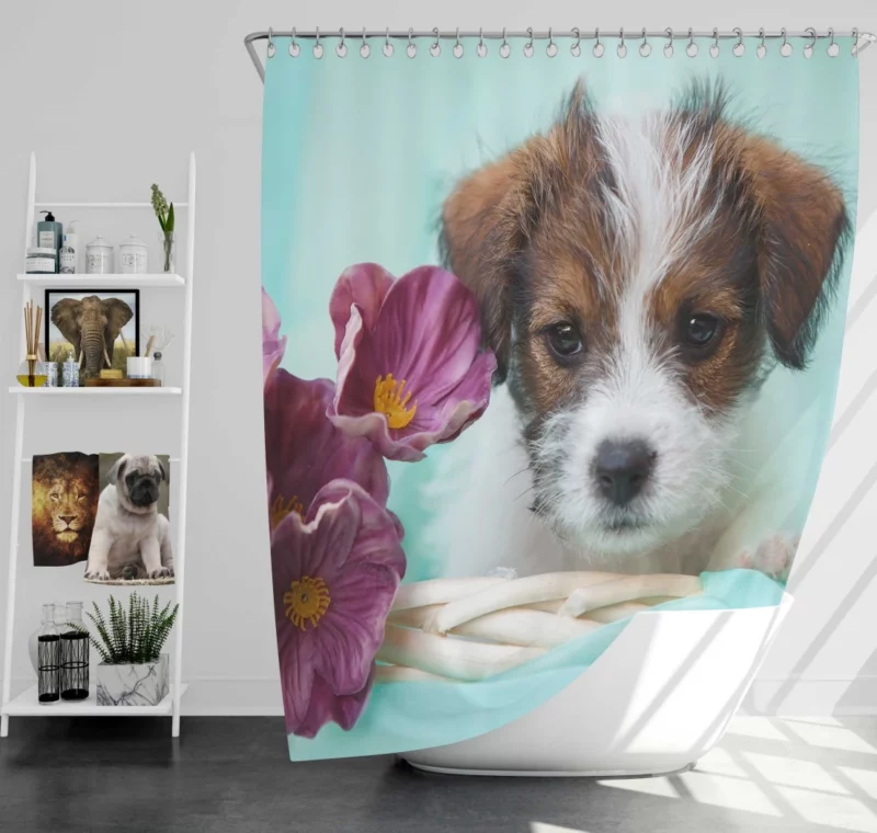 Jack Russell Terrier Puppy Playful Antics Shower Curtain