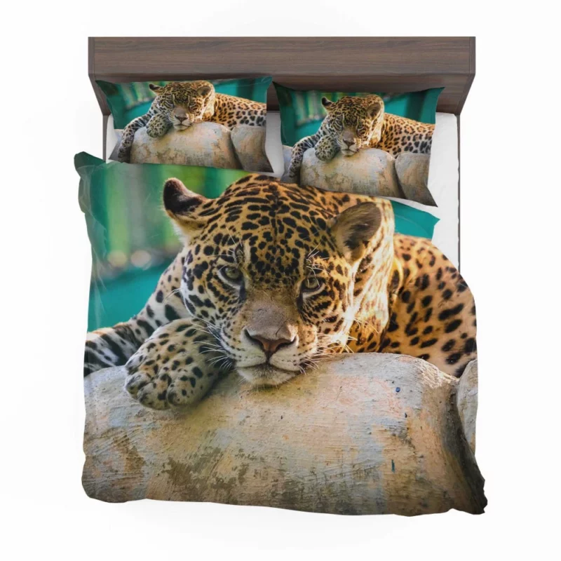 Jaguar Intense Stare Bedding Set 1