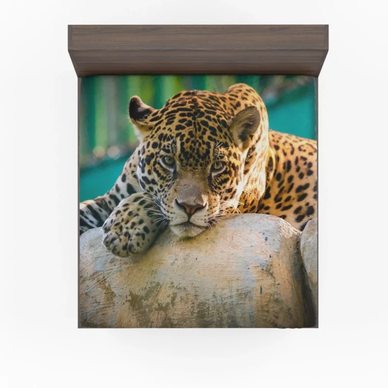 Jaguar Intense Stare Fitted Sheet 1