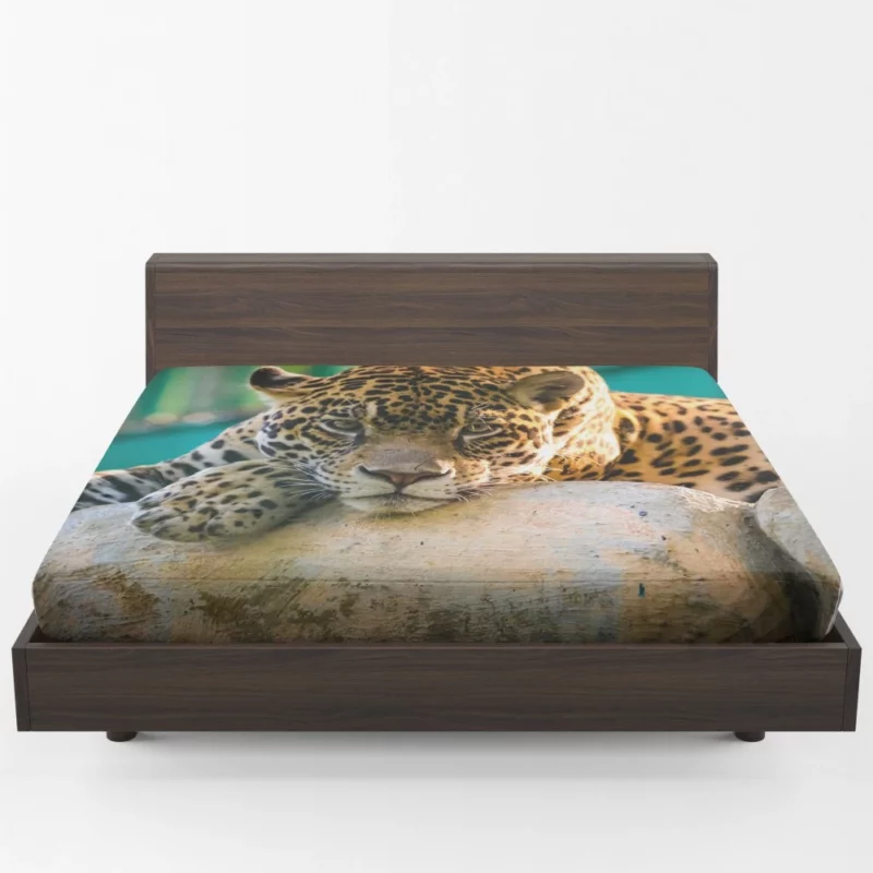 Jaguar Intense Stare Fitted Sheet