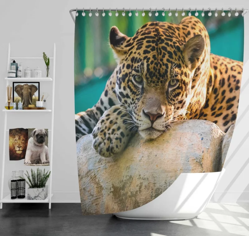 Jaguar Intense Stare Shower Curtain