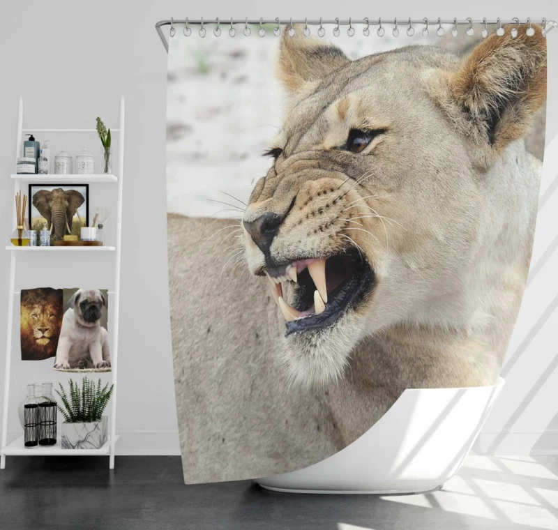 Jungle Monarch Lion Proud Roar Shower Curtain