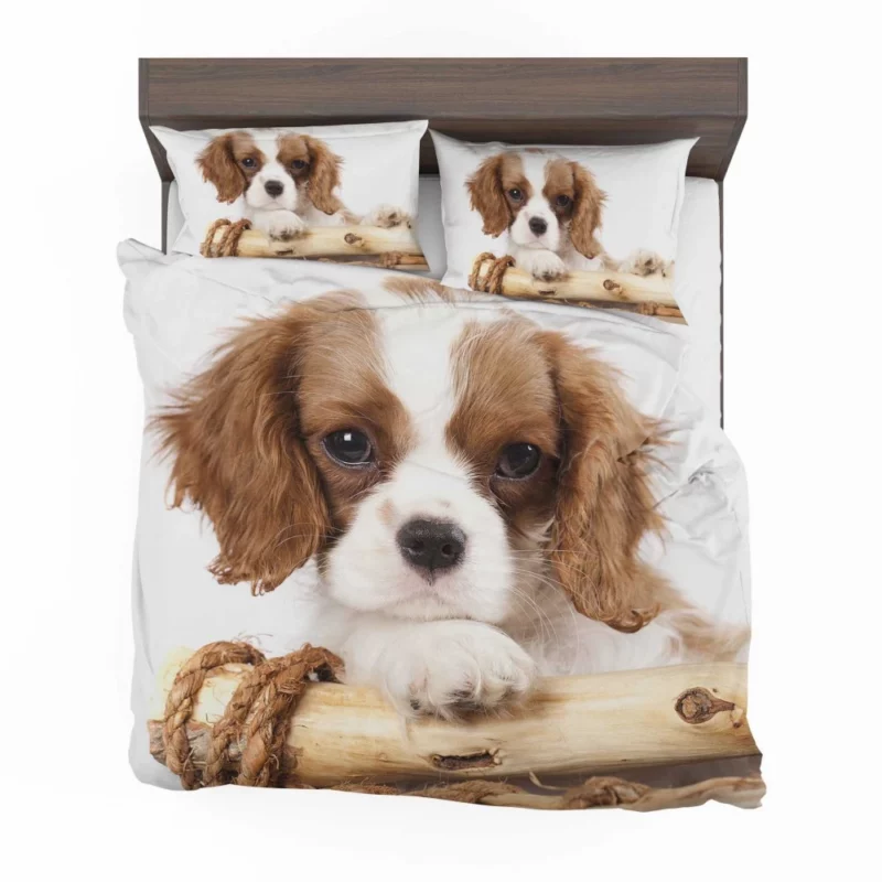 King Charles Spaniel Innocent Charm Bedding Set 1