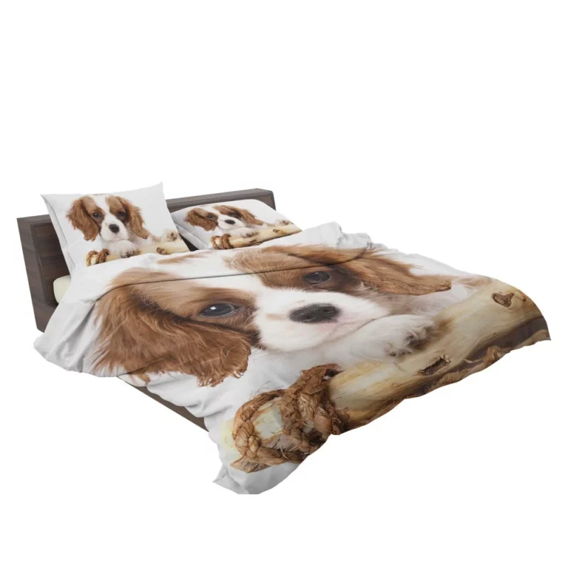 King Charles Spaniel Innocent Charm Bedding Set 2