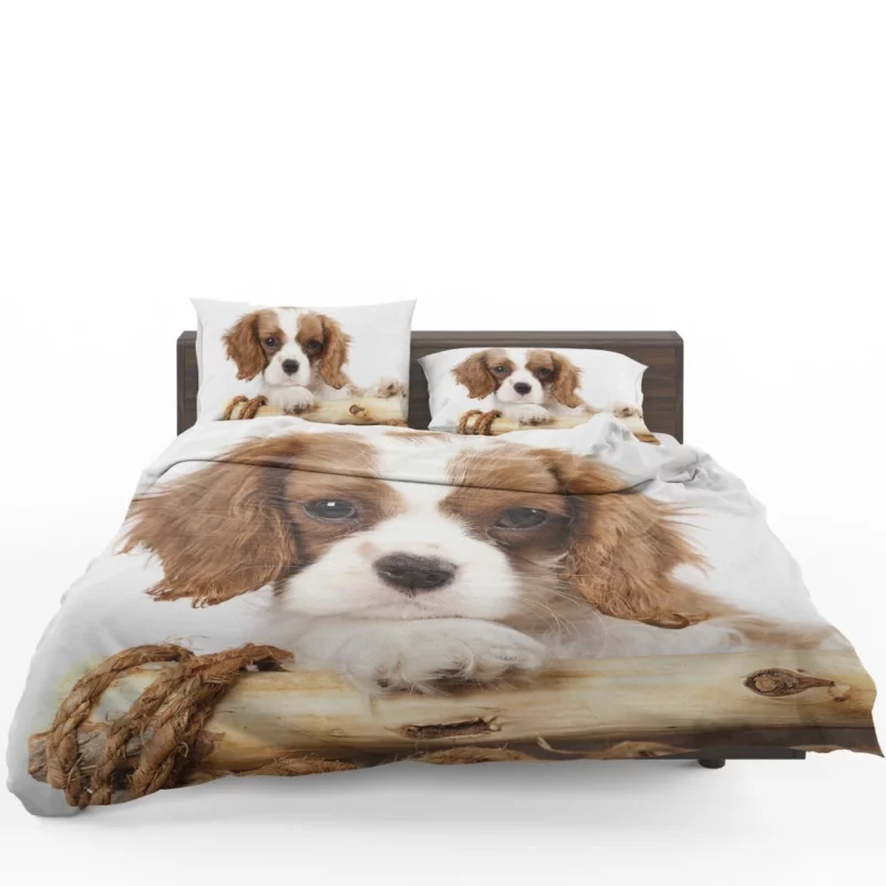 King Charles Spaniel Innocent Charm Bedding Set