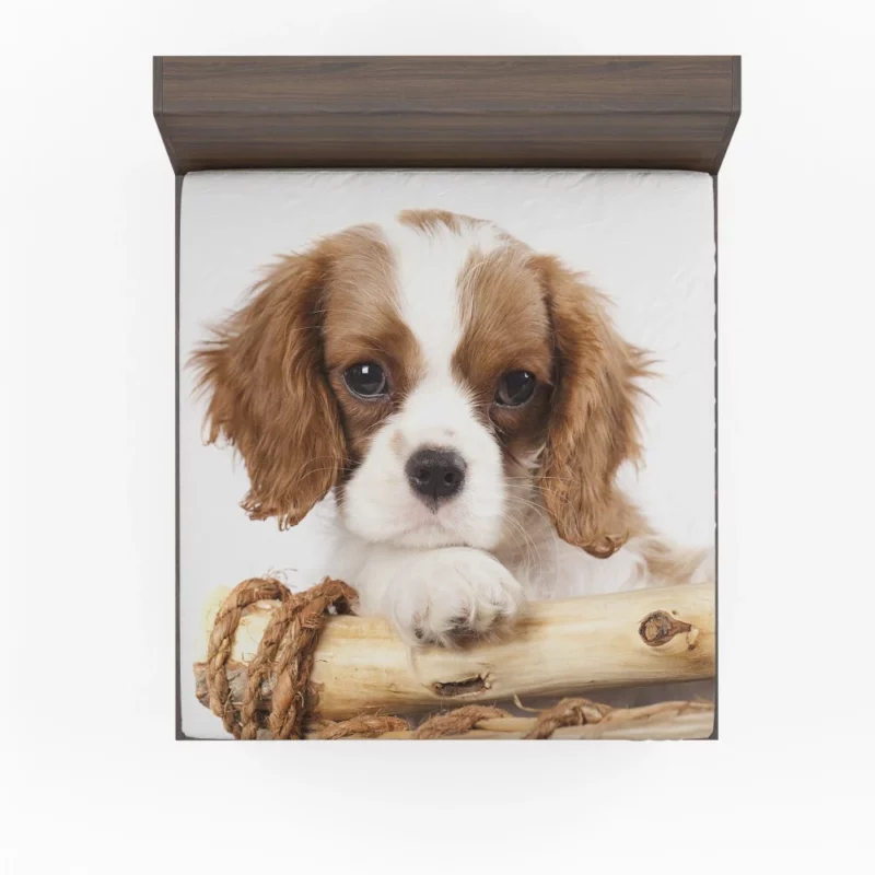 King Charles Spaniel Innocent Charm Fitted Sheet 1