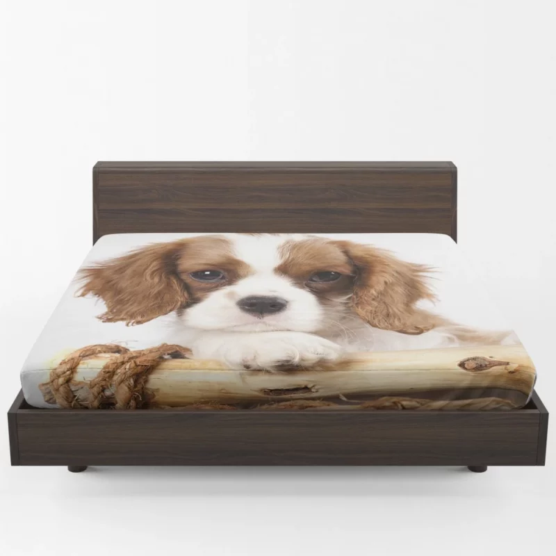 King Charles Spaniel Innocent Charm Fitted Sheet